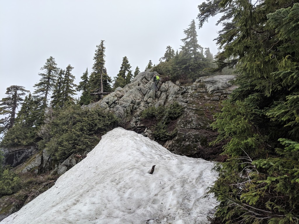 Mount Harvey | 49.475380, -123.200150, Greater Vancouver A, BC V0N, Canada