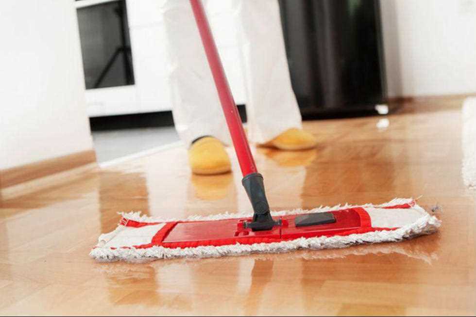 Lampo Cleaning Services | 2503 Hurontario St Unit # 355, Mississauga, ON L5A 2G7, Canada | Phone: (416) 832-6148
