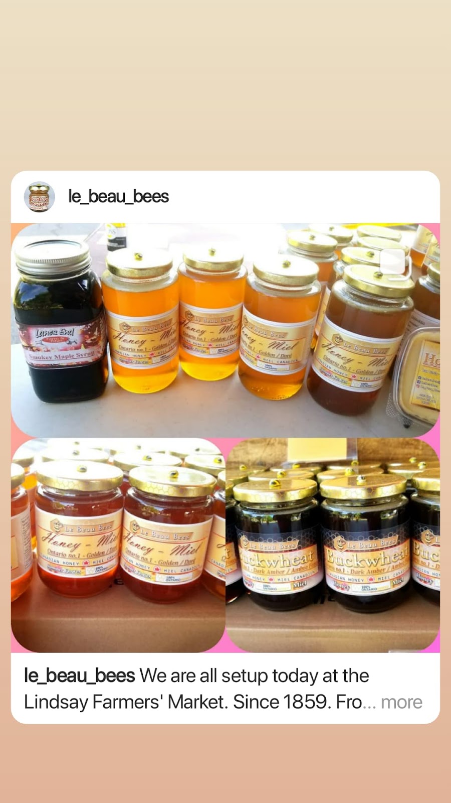 Le Beau Bees | 3143 Hwy 7 RR1, Reaboro, ON K0L 2X0, Canada | Phone: (514) 561-2503