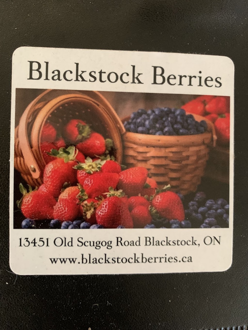 Blackstock Berries | 13451 Old Scugog Rd, Blackstock, ON L0B 1B0, Canada | Phone: (519) 697-4866