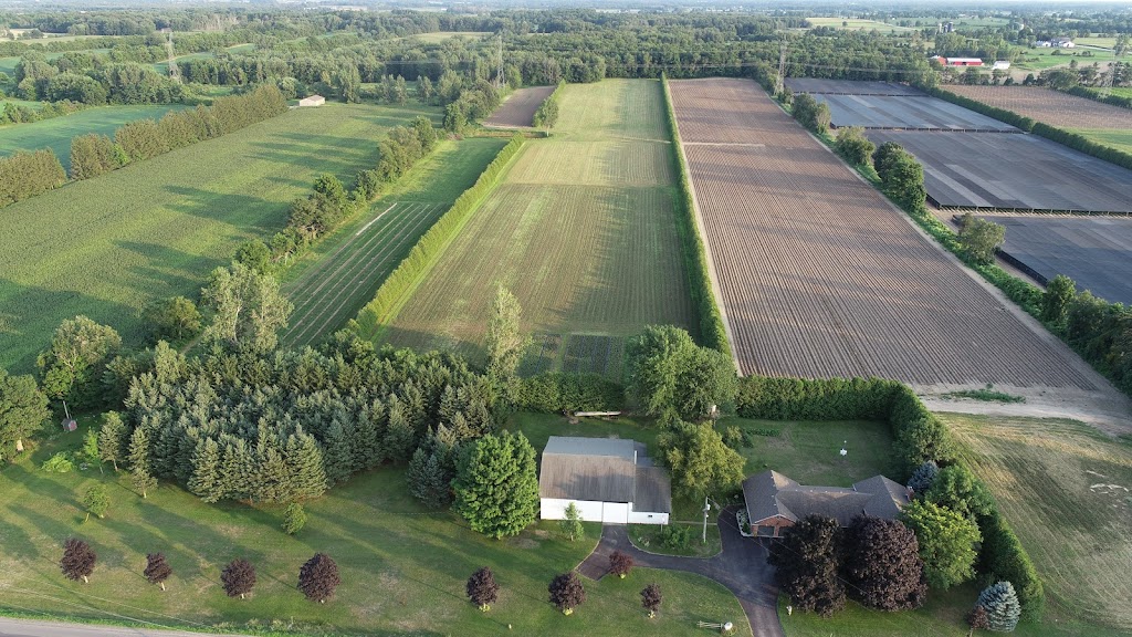Plaid Shirt Farms Ltd | 225804 Otterville Rd, Otterville, ON N0J 1R0, Canada | Phone: (226) 321-2525