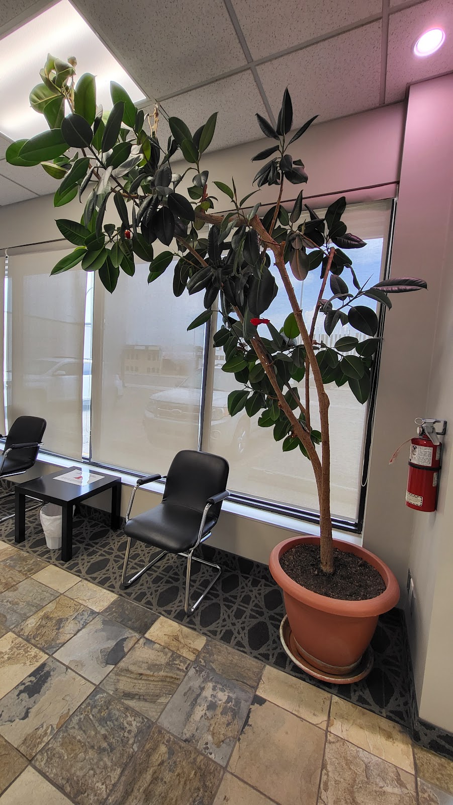 Able Body Health Clinic | 1212 3 Ave S, Lethbridge, AB T1J 0J9, Canada | Phone: (403) 329-1300