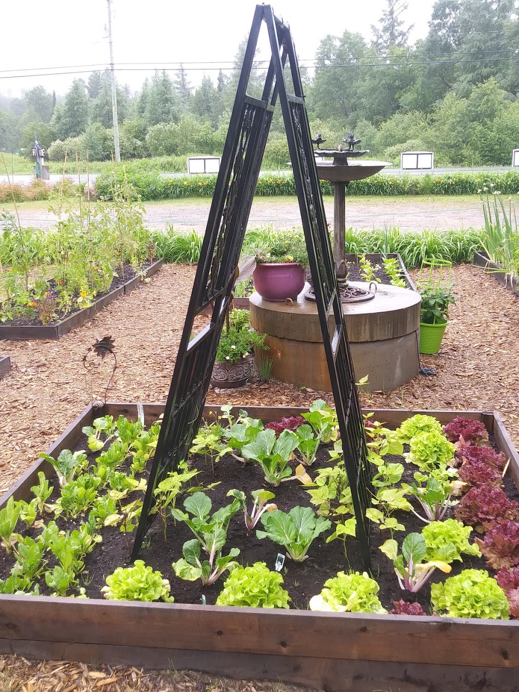 La Halte Aux Fleurs | 1326 QC-323, Amherst, QC J0T 2L0, Canada | Phone: (819) 341-1326