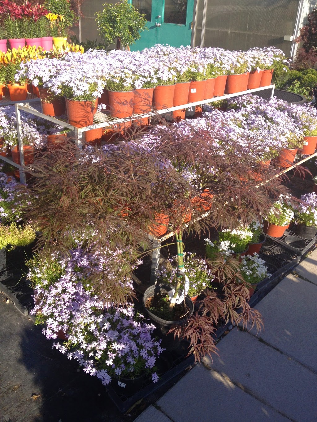 Springwater Garden Center | 13730 Simcoe County Road 27, Phelpston, ON L0L 2K0, Canada | Phone: (705) 322-2389