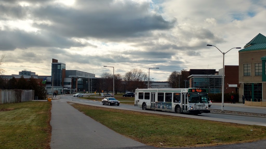 Ontario Tech University | 2000 Simcoe St N, Oshawa, ON L1G 0C5, Canada | Phone: (905) 721-8668