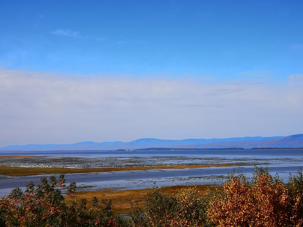 Camping Pointe Aux Oies | 45 Avenue du Bassin N, Montmagny, QC G5V 4E5, Canada | Phone: (418) 248-9710