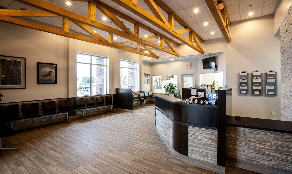 404 vet emergency hospital