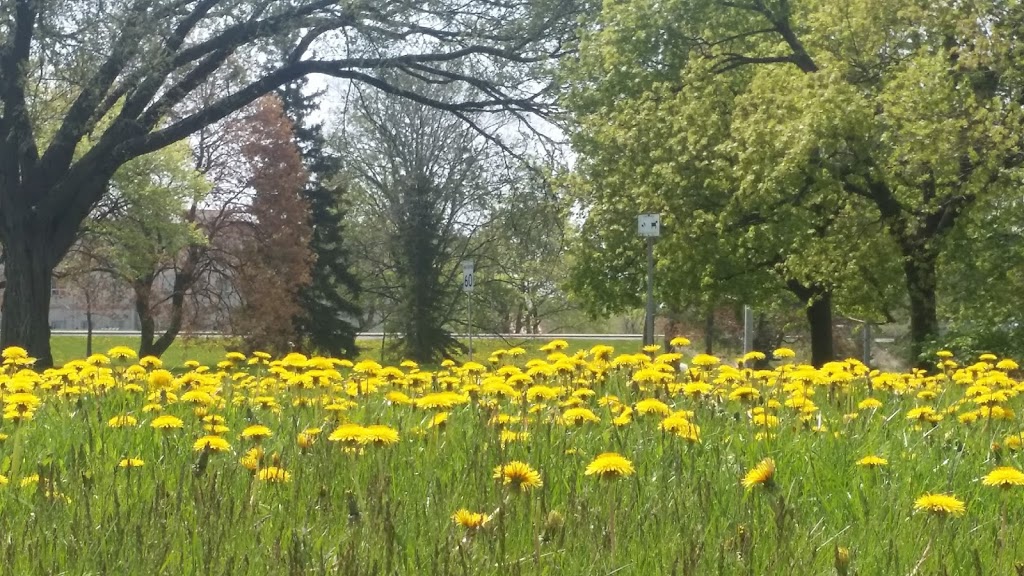 Highview Park | 150 Highview Ave, Scarborough, ON M1N, Canada | Phone: (416) 392-2489