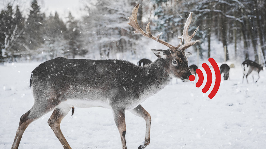 Digital Concept | 238 Canarctic Dr, North York, ON M3J 2P4, Canada | Phone: (800) 315-1975