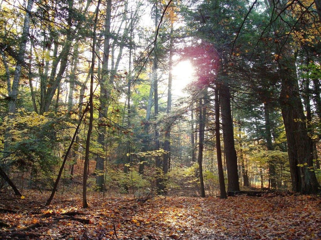 Central Lake Ontario Conservation | 100 Whiting Ave, Oshawa, ON L1H 3T3, Canada | Phone: (905) 579-0411