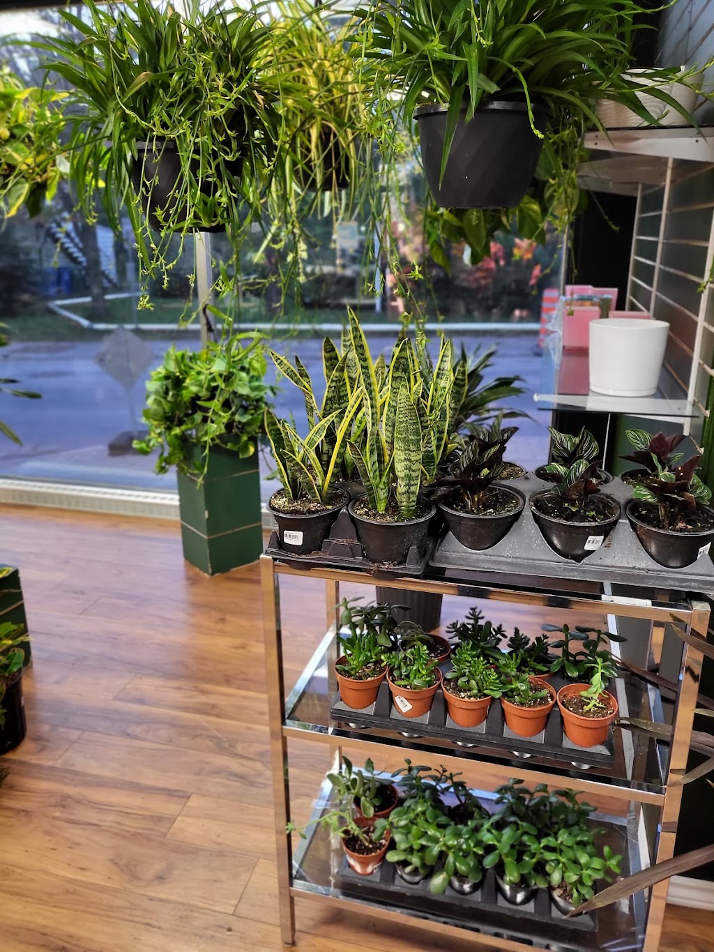 Fleuriste Reine des Fleurs | 626 Ave Royale, Québec City, QC G1E 1Y7, Canada | Phone: (418) 579-4430