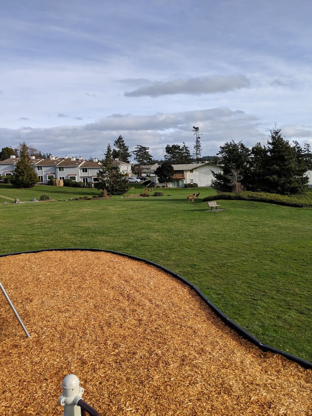 SKYLINE BEACH CLUB | 6041 Sands Way, Anacortes, WA 98221, USA | Phone: (360) 293-2001