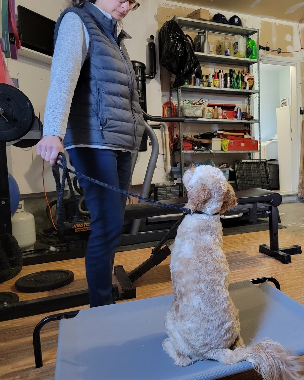 Durham Dog Training | 6150 Clemens Rd, Bowmanville, ON L1C 5R3, Canada | Phone: (365) 688-9070