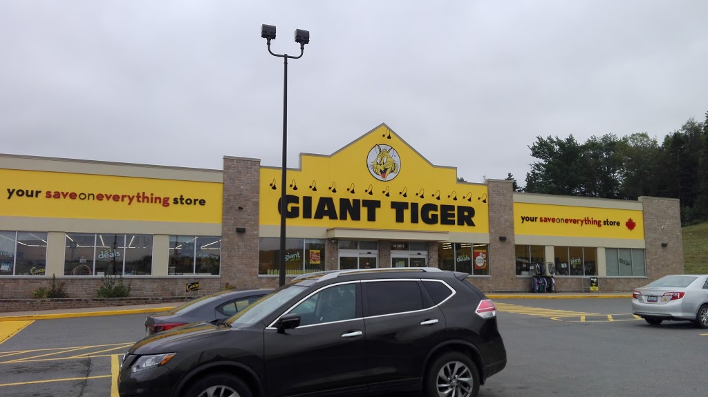 Giant Tiger | clothing store | 18 Millett Dr, New Minas, NS B4N 0G8, Canada | 9026817808 OR +1 902-681-7808