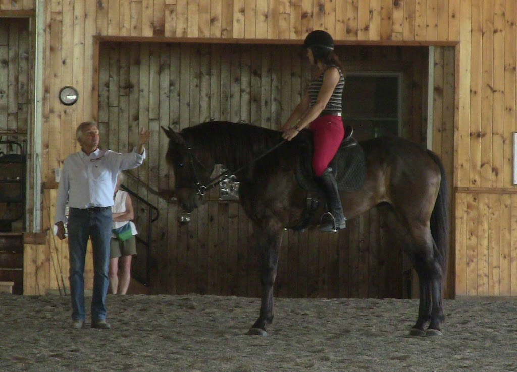 Symphony Stables | 778 County Rd 37, Wheatley, ON N0P 2P0, Canada | Phone: (519) 825-9708