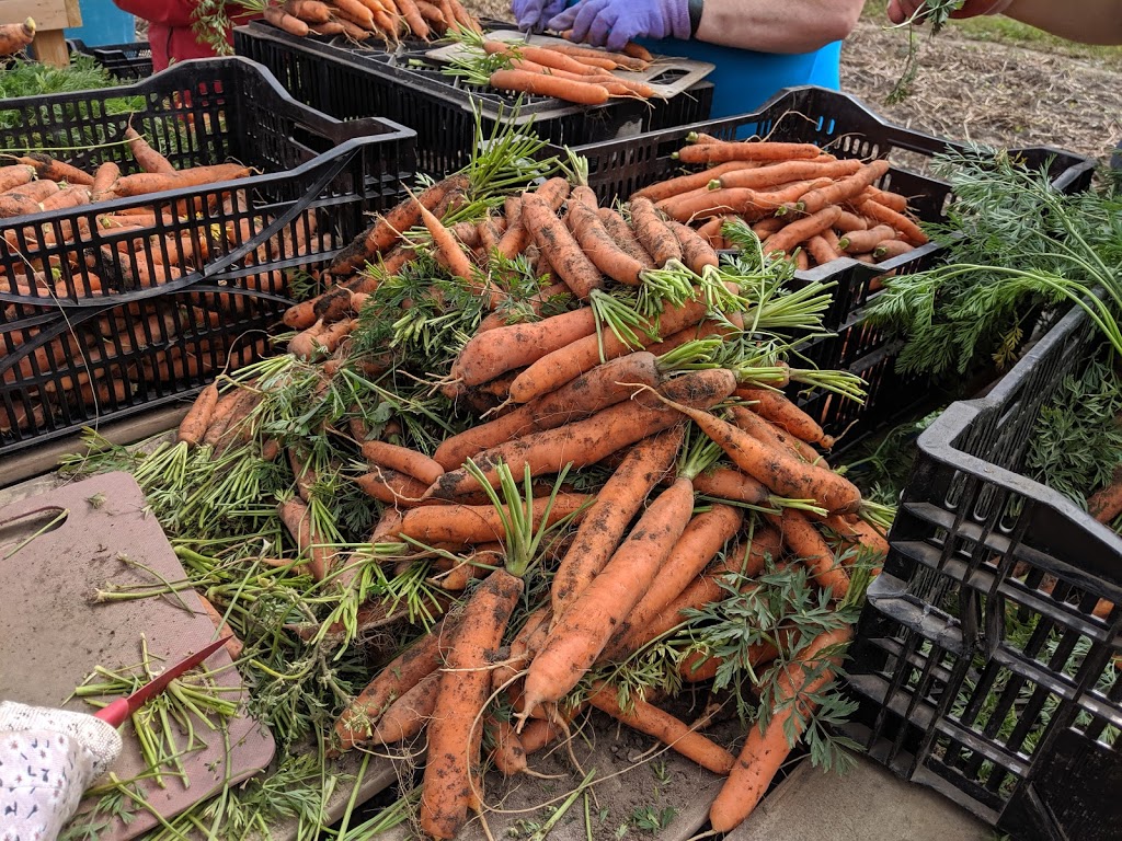 Ottawa Food Bank Farm | Munster Hamlet - Richmond, Ottawa, ON K2S 1B8, Canada | Phone: (613) 745-7001