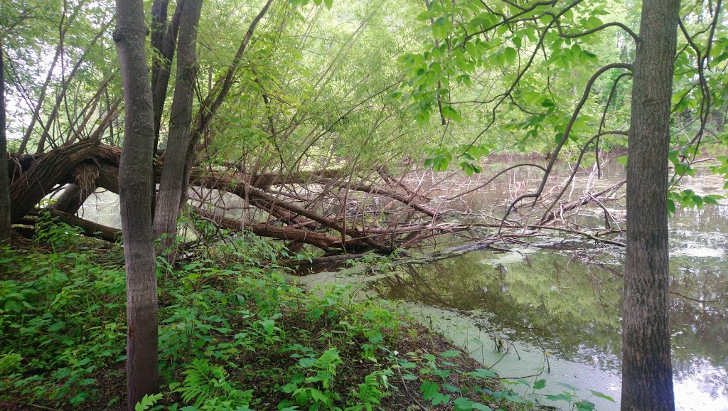Sentiers pédestres des îles de Berthier | 2 QC-158, Berthierville, QC J0K 1A0, Canada