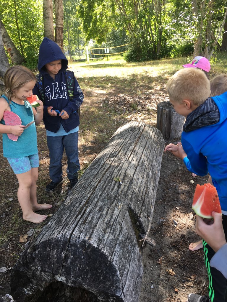 Shuswap Explorers After School Program (Sorrento) | 1135 Passchendaele Rd, Sorrento, BC V0E 2W2, Canada | Phone: (250) 803-2996