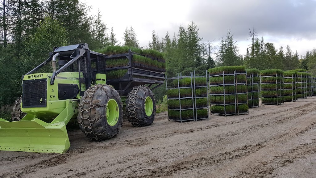 Entreprises PLL inc. | 3554 QC-373, Saint-Félicien, QC G8K 3A4, Canada | Phone: (438) 889-4206