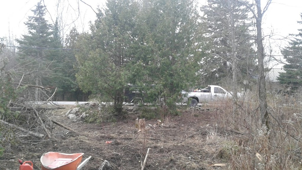 Allens Estate | 388 County Rd 41, Kirkfield, ON K0M 2B0, Canada | Phone: (289) 600-1445
