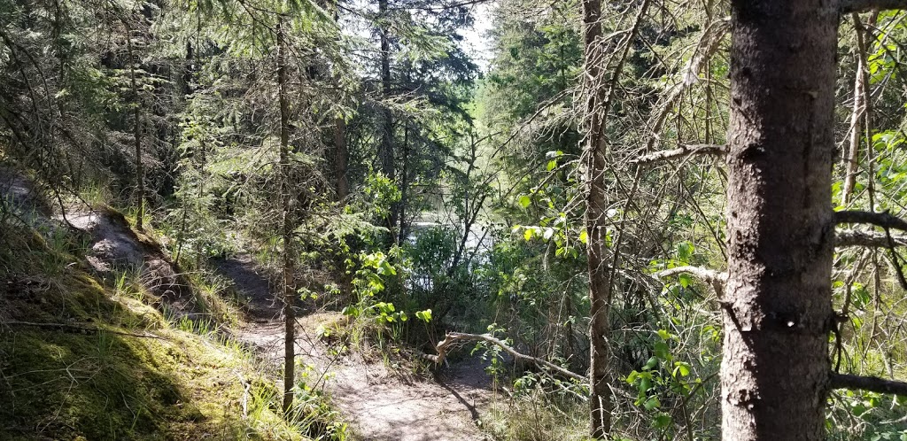 Larch Sanctuary | MacTaggart Sanctuary Trail Loop, Edmonton, AB T6J 5N2, Canada