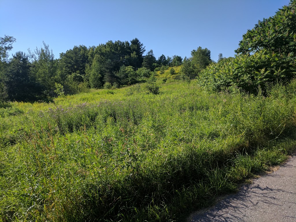 Saigeon Trail | Richmond Hill, ON L4E 4C2, Canada | Phone: (905) 771-8830