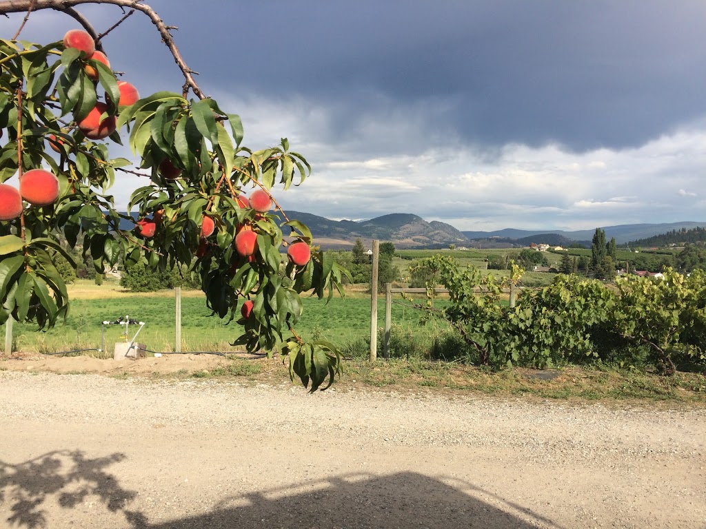 Apple Valley Orchard & RV Park | 1980 Union Rd, Kelowna, BC V1V 2E8, Canada | Phone: (250) 763-9840