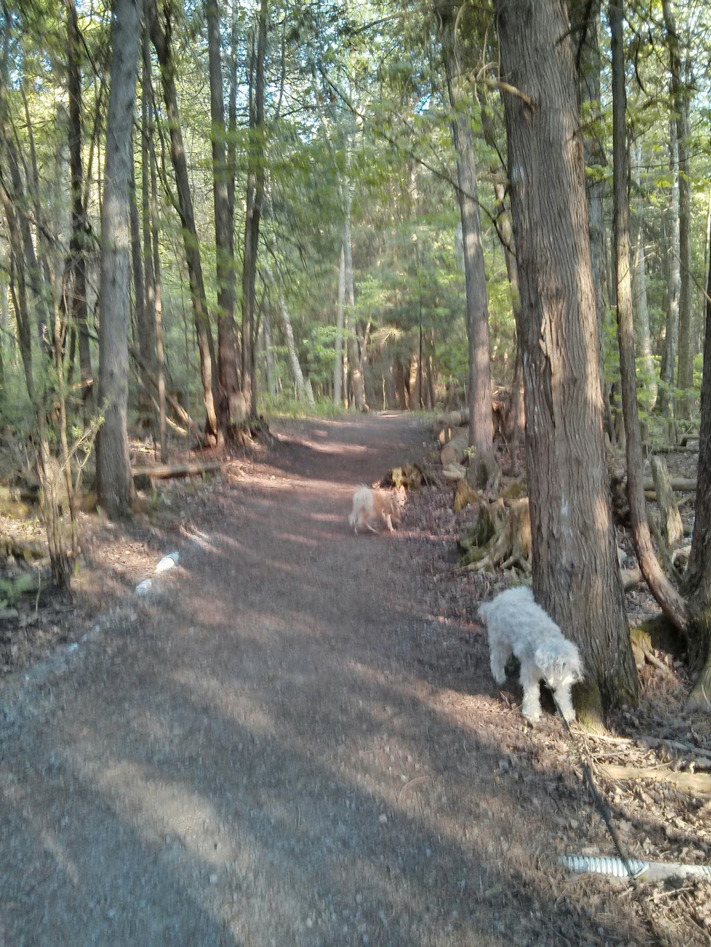Orono Crown Lands | Ochonski Rd, Clarington, ON L0B, Canada | Phone: (905) 579-0411