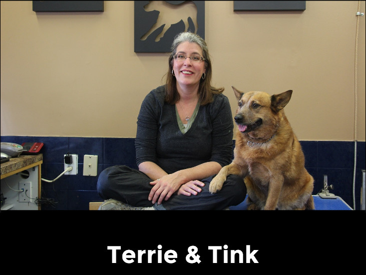 TLC Dog Grooming | 585 Mohawk Rd W, Hamilton, ON L9C 1X5, Canada | Phone: (905) 387-1300