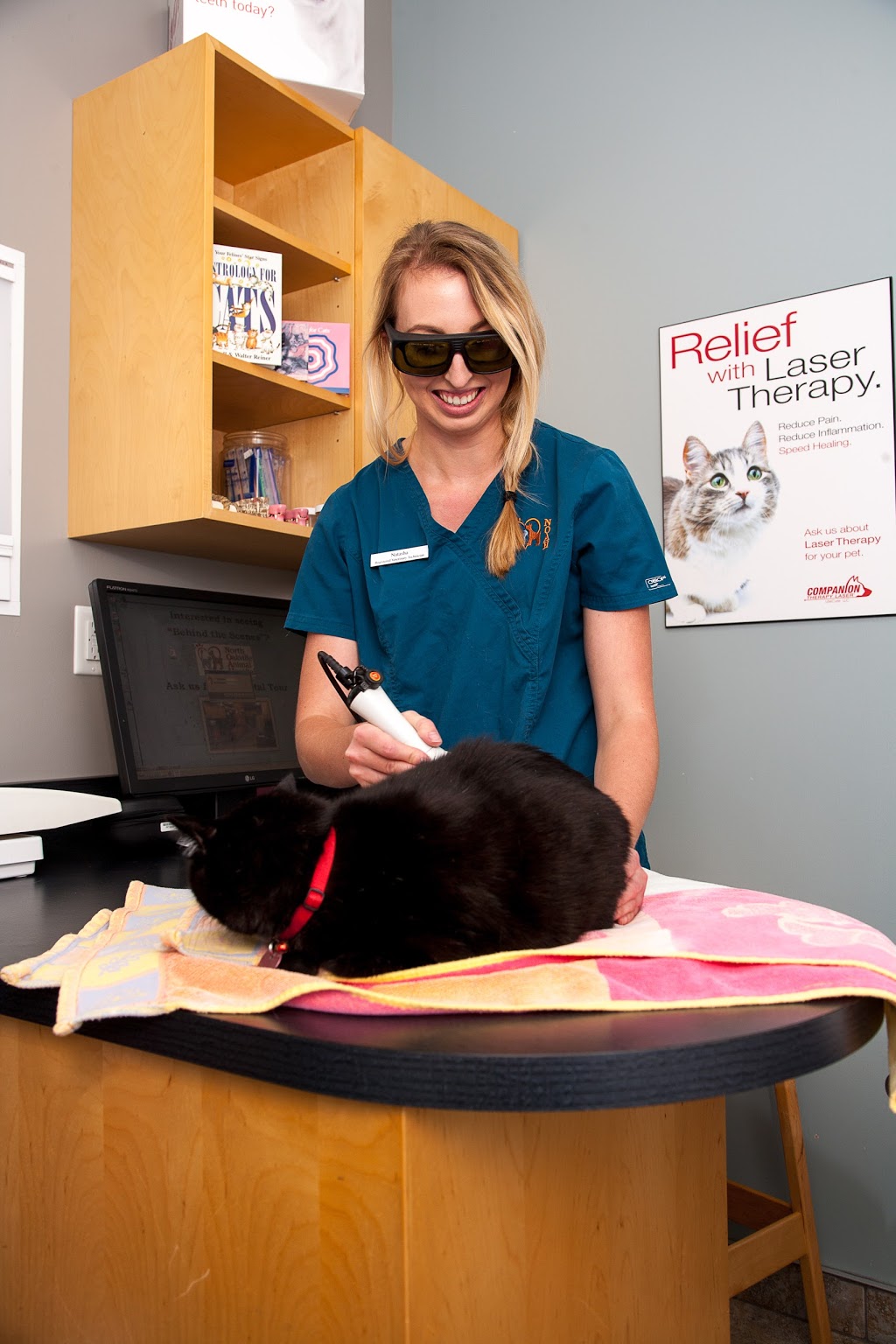 North Oakville Animal Hospital | 2520 Sixth Line, Oakville, ON L6H 6W5, Canada | Phone: (905) 257-3700