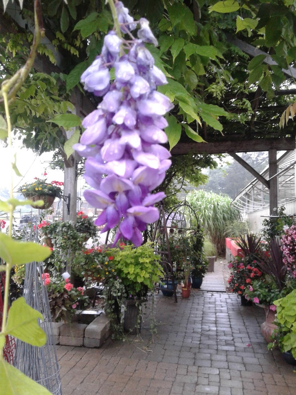 Botanix Oxford Insta-Shade | 593806 Oxford 59, Burgessville, ON N0J 1C0, Canada | Phone: (519) 424-2180
