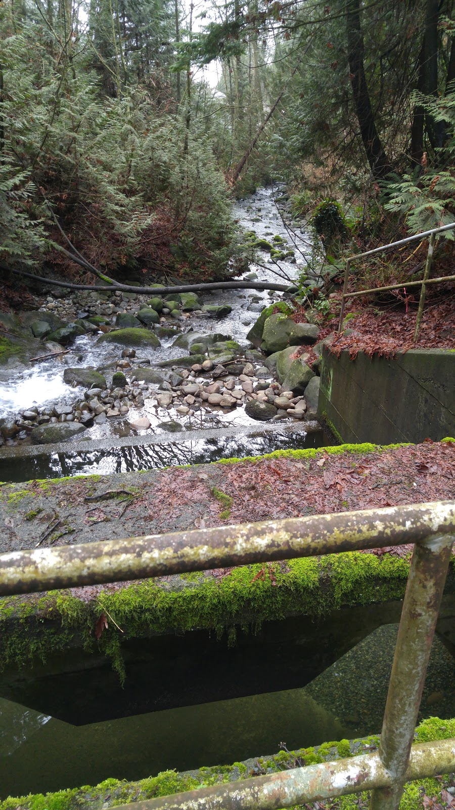 Kaymar Creek Ravine Park | 8050 Kaymar Dr, Burnaby, BC V5J 3N1, Canada