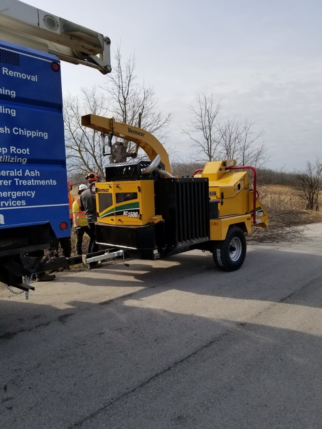 Colonial Tree Service | 36 Armstrong Ave, Georgetown, ON L7G 4R9, Canada | Phone: (905) 877-8591
