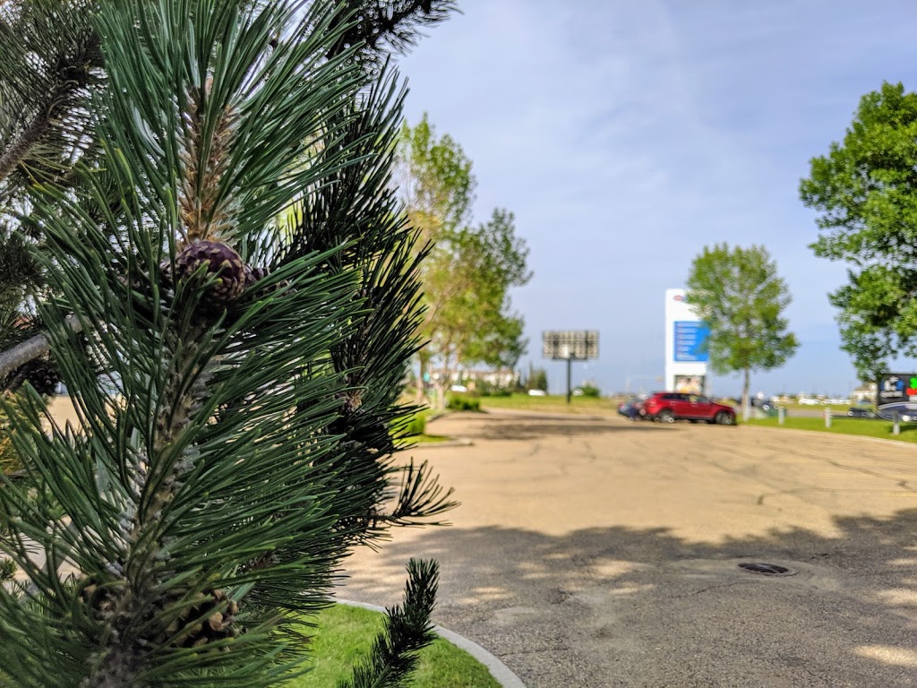 AMA - Alberta Motor Association | 5040 Manning Dr NW, Edmonton, AB T5A 5B4, Canada | Phone: (780) 473-3112
