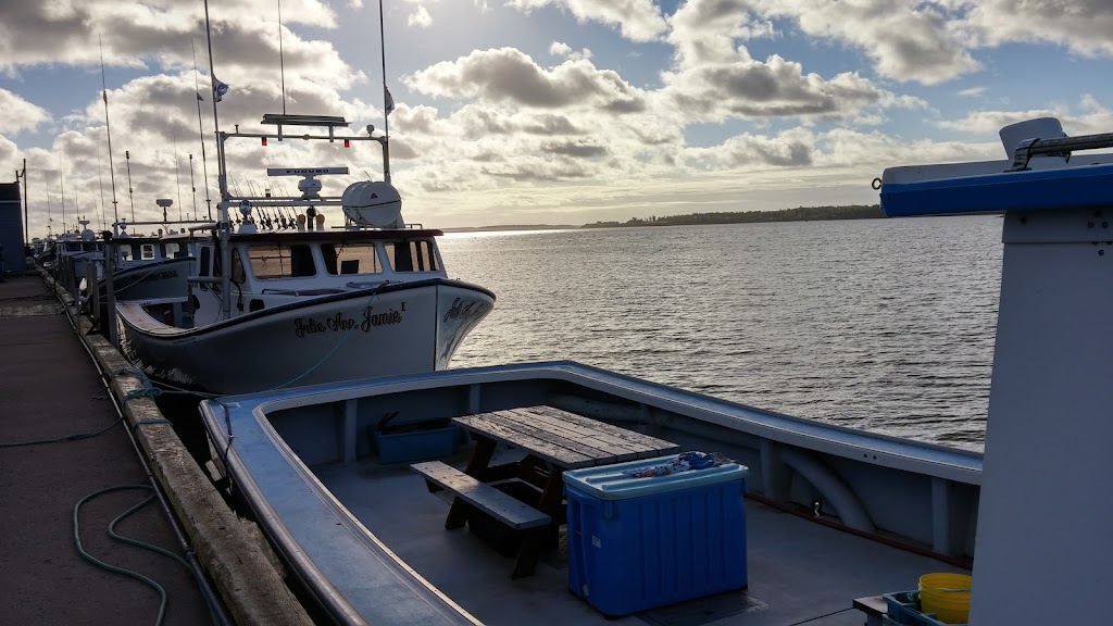 Barry Doucettes Deep Sea Fishing | 52 Harbourview Dr, North Rustico, PE C0A 1X0, Canada | Phone: (902) 393-2695