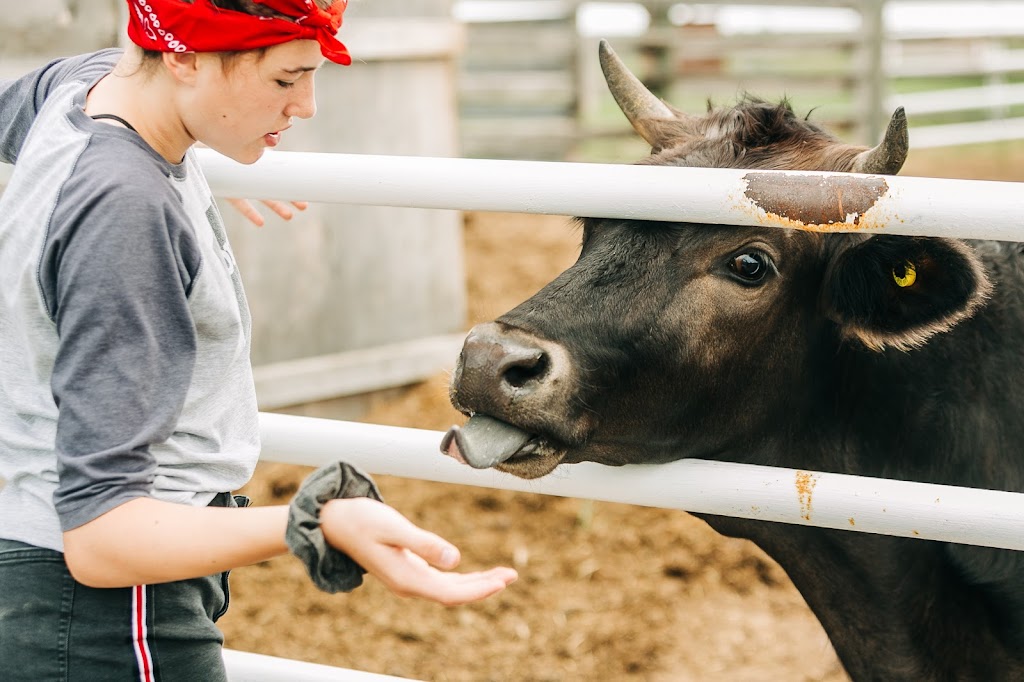 White Barn Fun Farm | Range Rd 154, Duchess, AB T0J 0Z0, Canada | Phone: (403) 501-3907