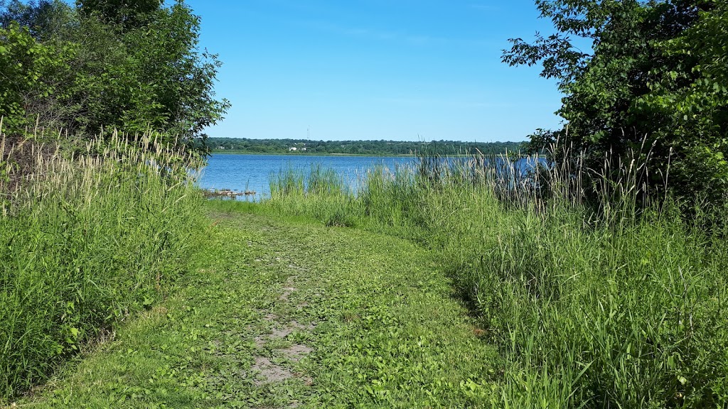 Gore Road Dog Park | 80 Gore Rd, Kingston, ON K7K 6X6, Canada