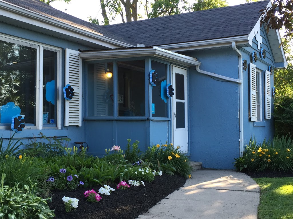 Pioneer Pet Hospital | 4411 King St E, Kitchener, ON N2P 2G1, Canada | Phone: (519) 653-4411