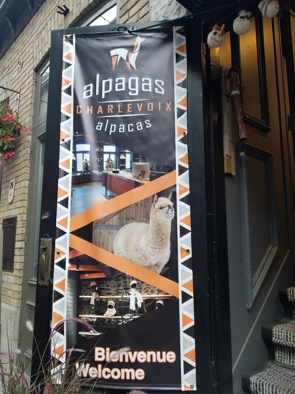 Boutique Alpagas Charlevoix Québec | 77 Rue du Petit Champlain, Québec, QC G1K 4H5, Canada | Phone: (418) 692-0416