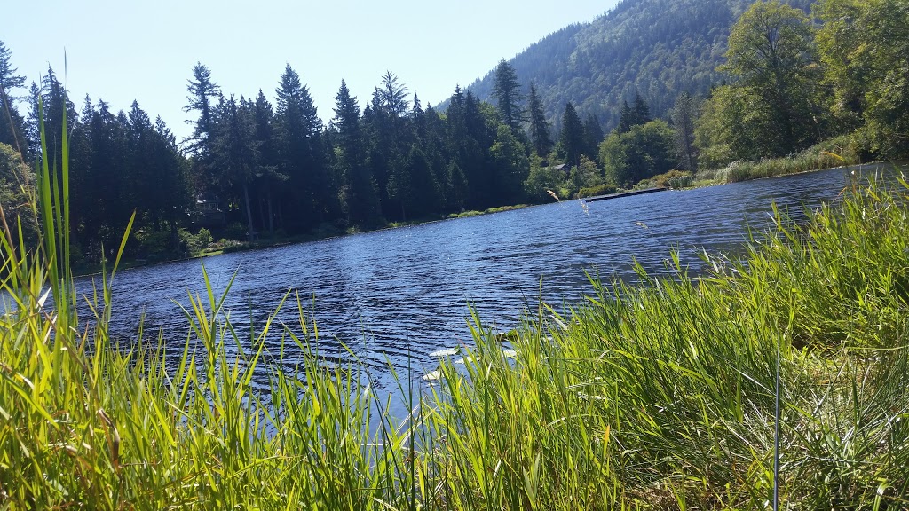 Treasure Island | Reed Lake, Sedro-Woolley, WA 98284, USA