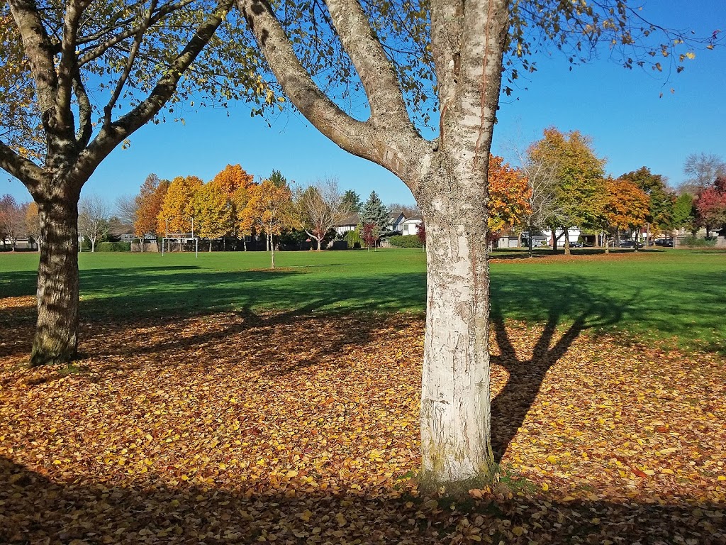Archibald Blair Elementary School | 6551 Lynas Ln, Richmond, BC V7C 3K8, Canada | Phone: (604) 668-6330