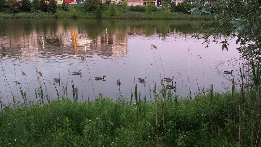 Ashton Meadows Park | 202 Calvert Rd, Markham, ON L6C 1T5, Canada