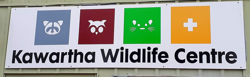 Kawartha Wildlife Centre | 470 Robinson Rd, Ennismore, ON K0L 1T0, Canada | Phone: (705) 292-9211