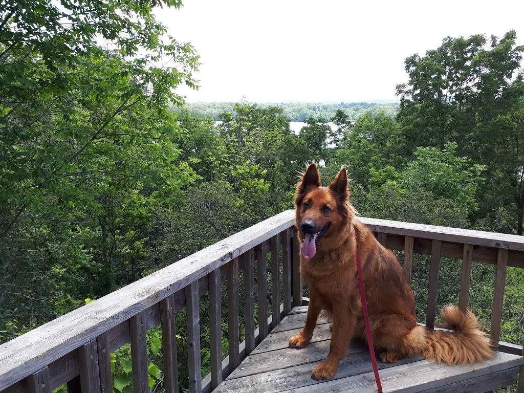 George North Lookout | George North Lookout Trail, Hamilton, ON L9H 5M5, Canada