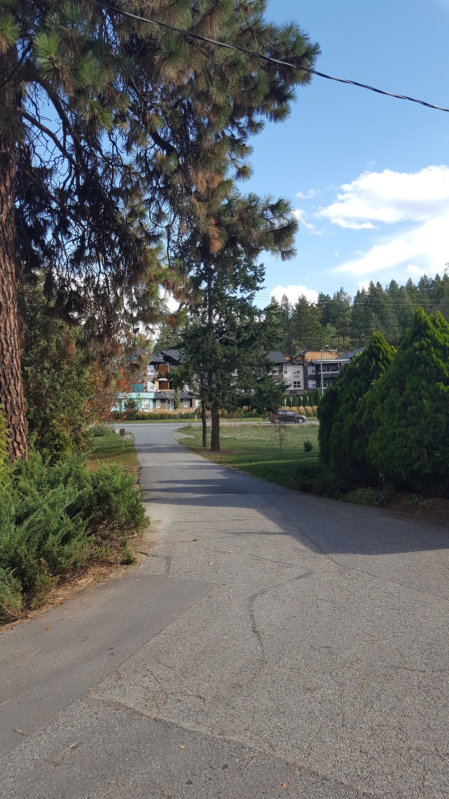 Shady Lane RV & Trailer Park | 1510 Glenmore Rd, Kelowna, BC V1V 2H1, Canada | Phone: (250) 868-1030