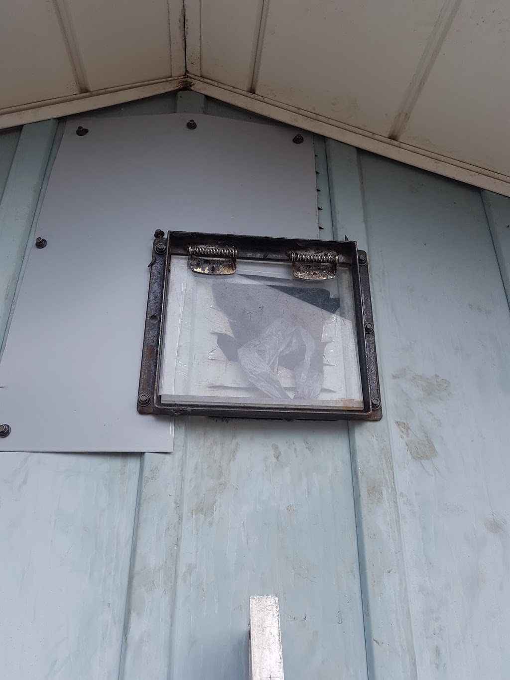 Annex Wildlife Control & Repair | 2831 Kingston Rd, Scarborough, ON M1M 1N2, Canada | Phone: (416) 459-1575