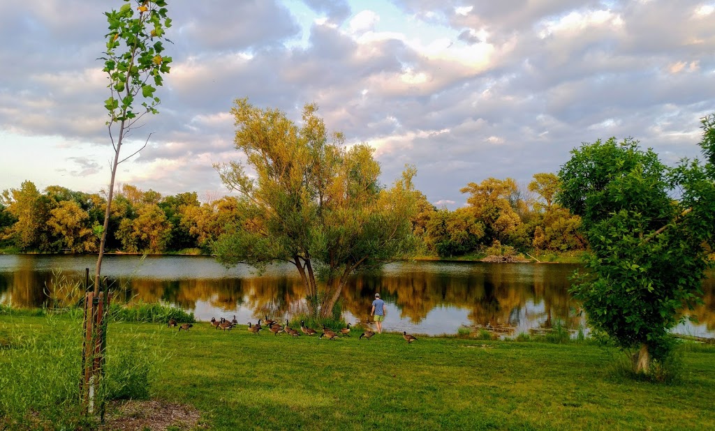 Fifty Point Conservation Area | 1479 Baseline Rd, Hamilton, ON L8E 3L8, Canada | Phone: (905) 525-2187