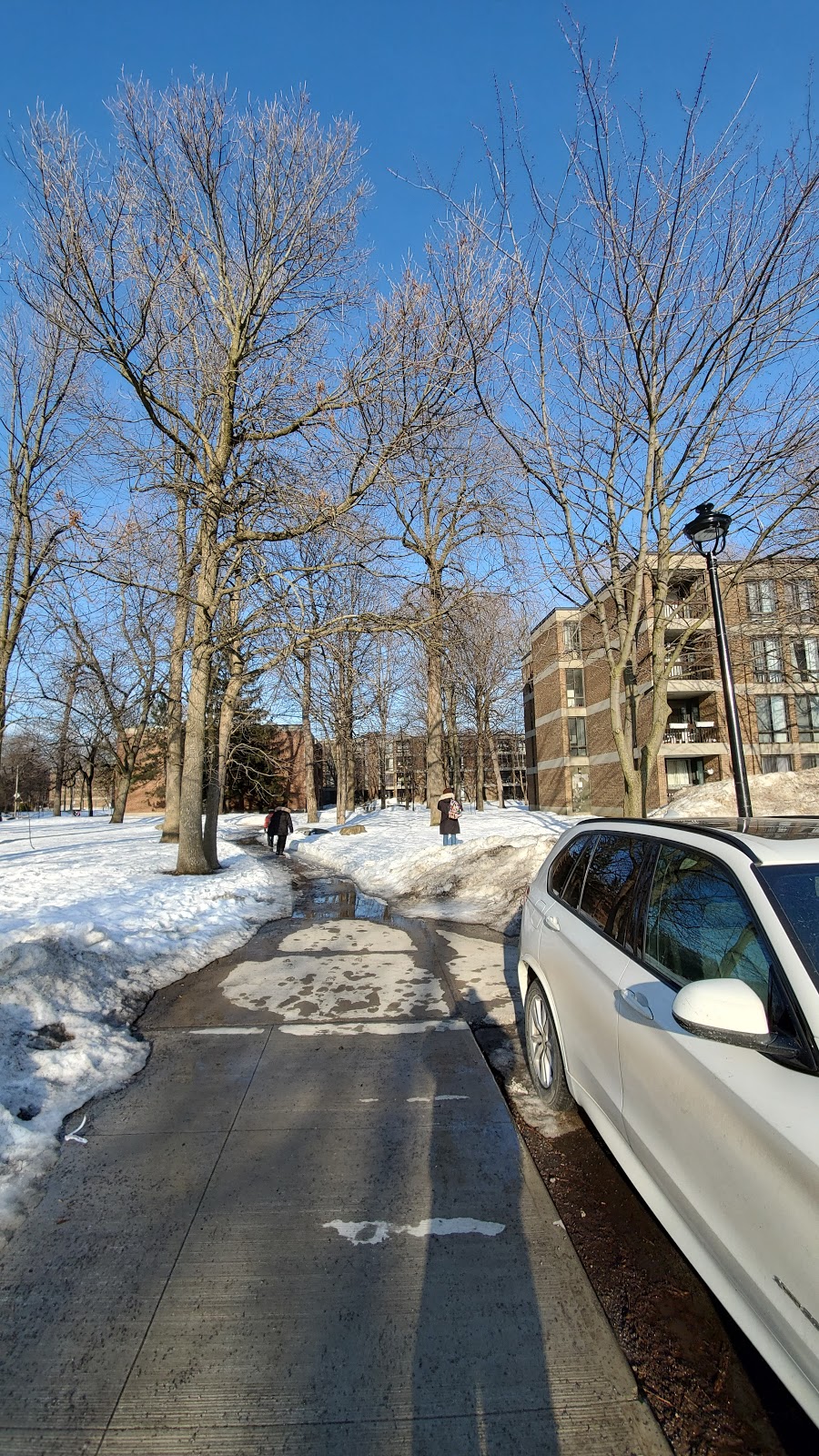 Elgar Community Centre | 260 Rue Elgar, Montréal, QC H3E 1C9, Canada | Phone: (514) 765-7270