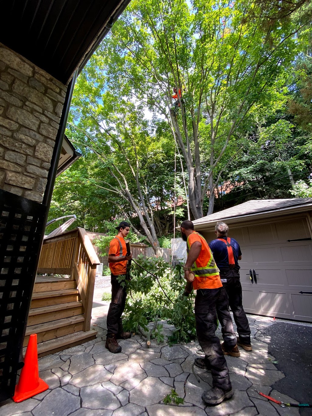 Glenwood Tree Service Inc. | 663 Winston Churchill Blvd, Mississauga, ON L5J 4P9, Canada | Phone: (905) 855-8711