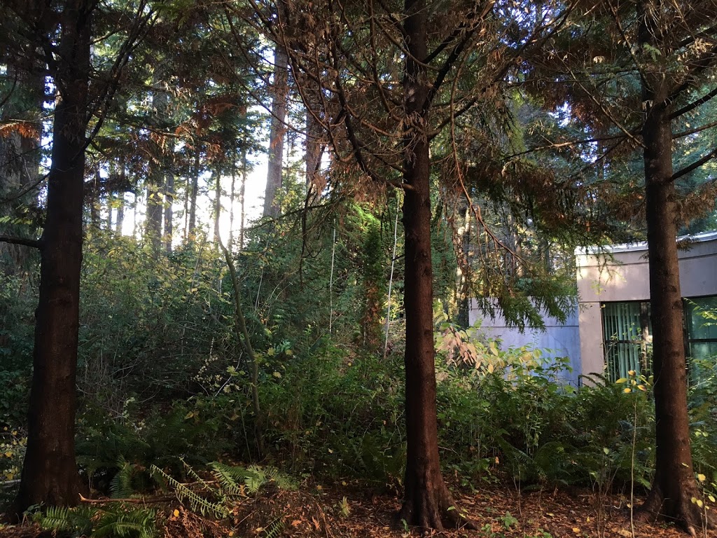 Capilano University Library | 2055 Purcell Way, North Vancouver, BC V7J 3H5, Canada | Phone: (604) 984-4944